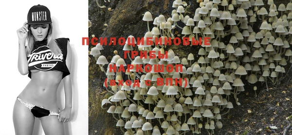 MDMA Козельск